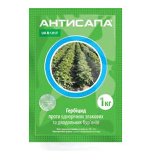 АНТИСАПА, ВГ®