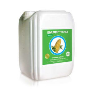 ВАРЯГ ТРІО, СЕ®