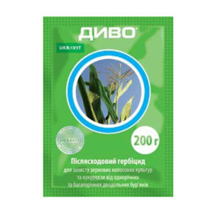 ДИВО, ВГ®