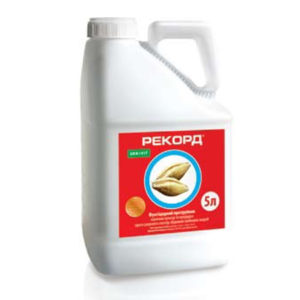 РЕКОРД, ТН®